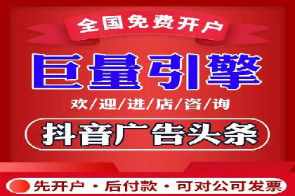XX行业竞价广告的投放策略与效果分析